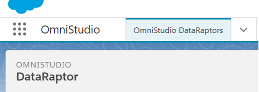Omnistudio Data Raptor-Vlocity App console