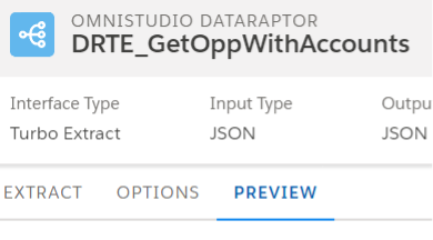 Data Raptor Preview tab